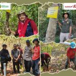 Kawasan Hutan